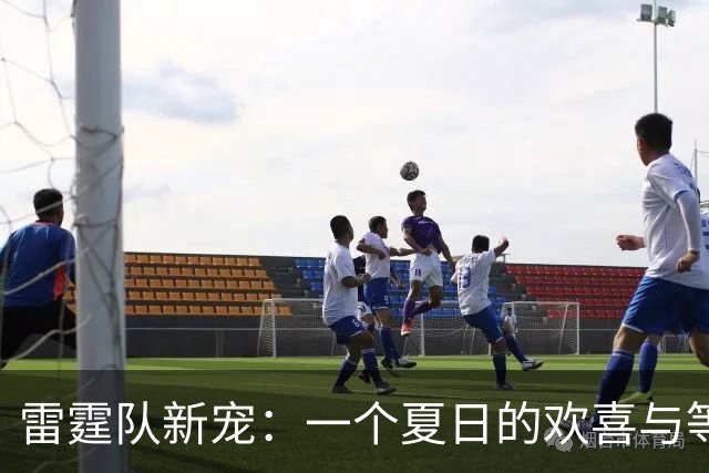 雷霆队新宠：一个夏日的欢喜与等待